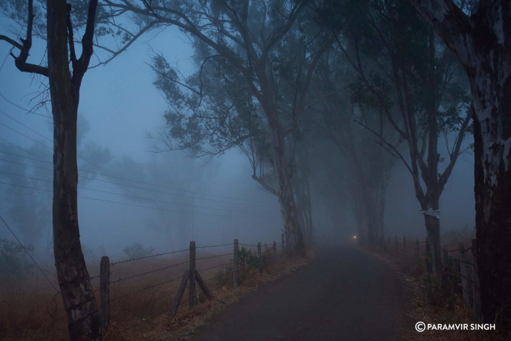 Mahabaleshwar Mist