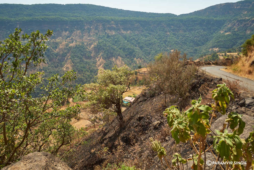 Village Road in Mahabbaleshwar