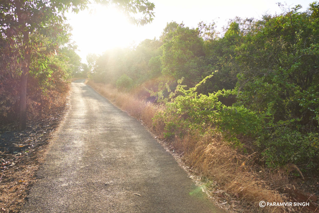 Road in Mahabaleshwar